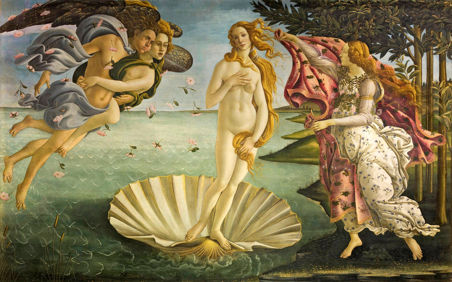 La nascita di Venere - Sandro Botticelli su carta Amalfi