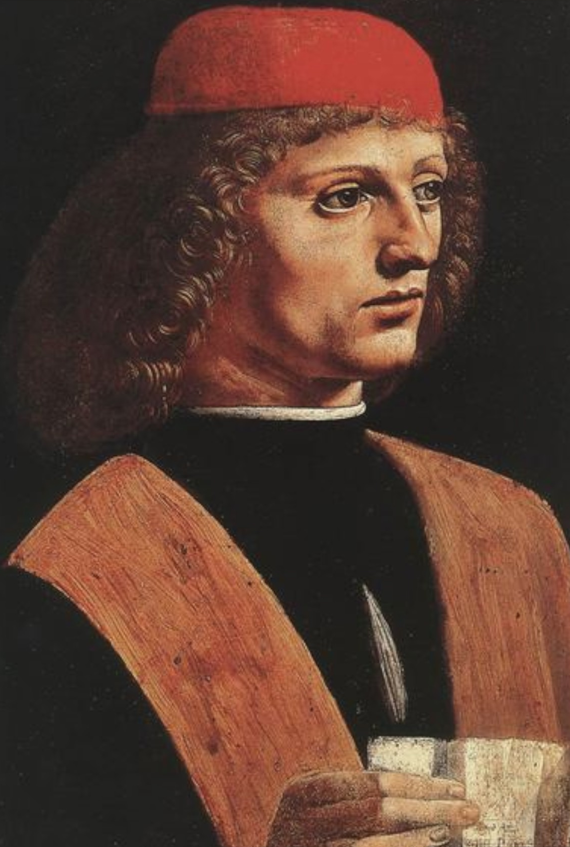 The Portrait of the Musician by Leonardo da Vinci