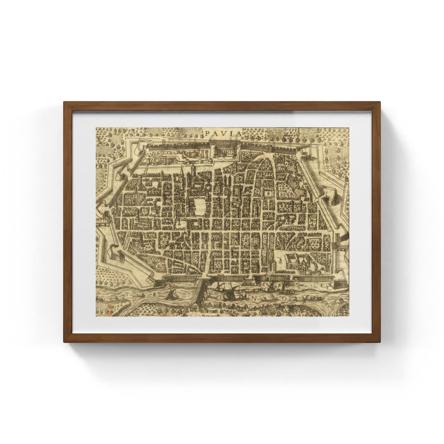 Map of the ancient city of Pavia by Pietro Bertelli