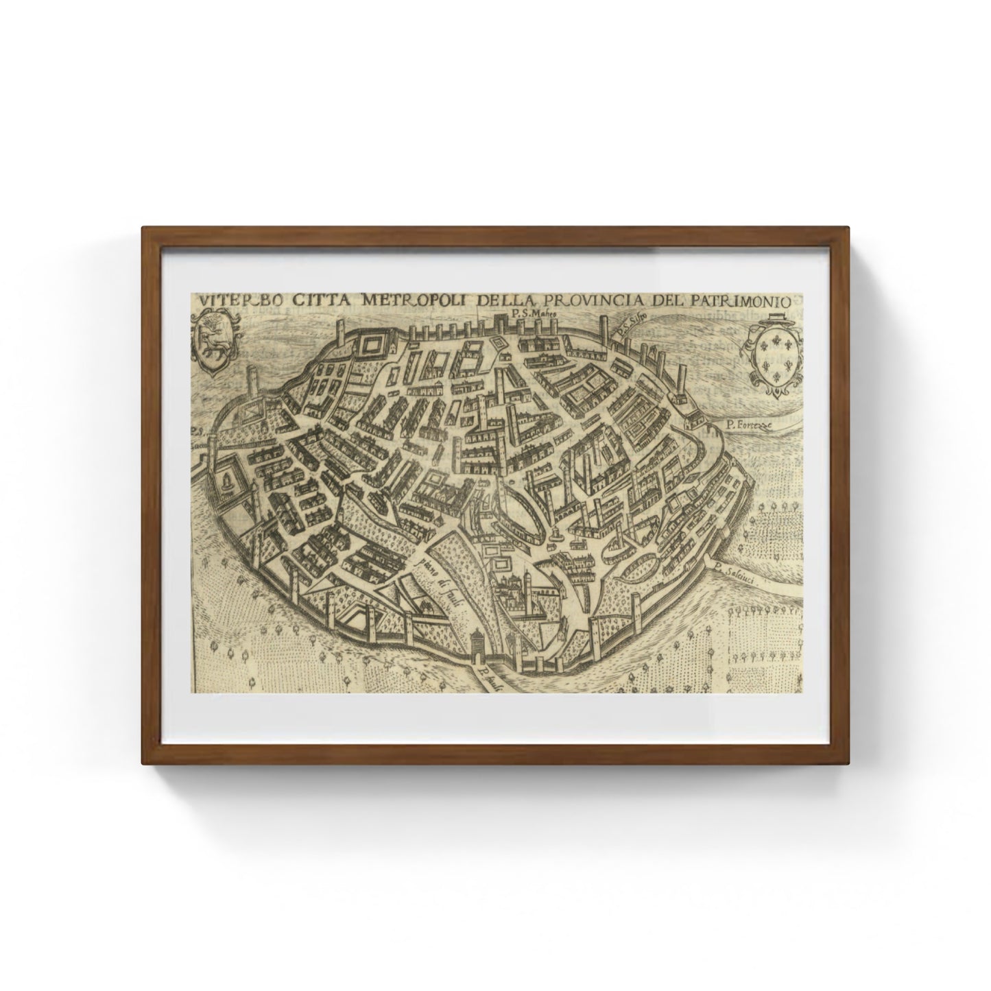 Map of the ancient city of Viterbo by Pietro Bertelli