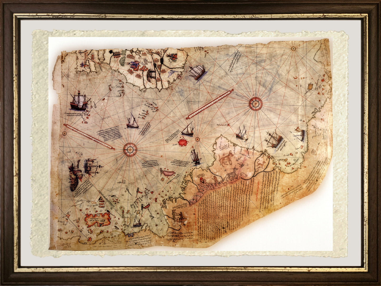 Mappa di Piri Reis su pregiata carta Amalfi