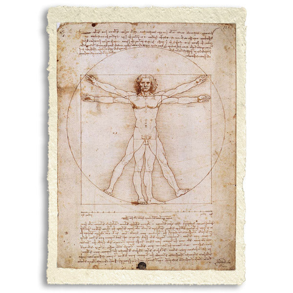 Vitruvian Man. Leonardo da Vinci. Reproduction on Amalfi paper