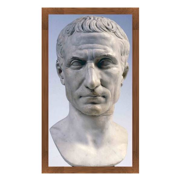 Busto di Gaio Giulio Cesare Musei Vaticani Museo Pio Clementino Galleria dei busti