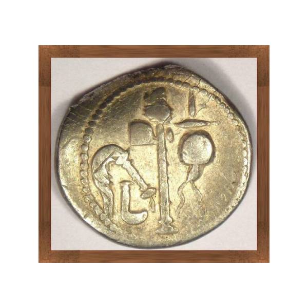 Giulio Cesare, Denario, 49-48 ac Caesar, elefante calpesta il dragone rovescio