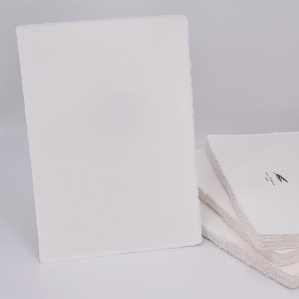 The gaze of Mother Teresa