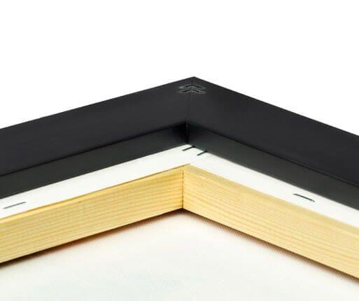 The Veiled Woman by Raffaello Sanzio 1516 reproduction on canvas