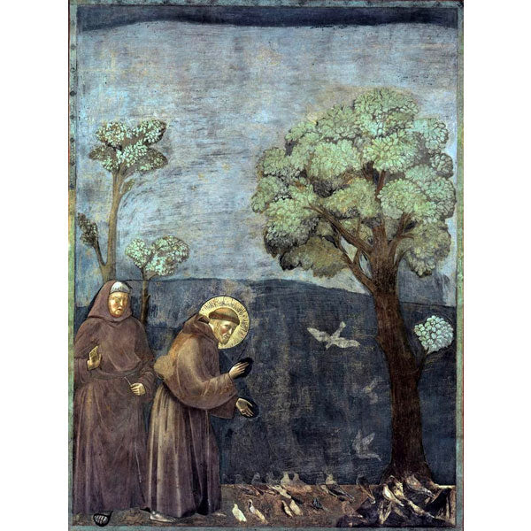 Sermon to the Birds by Giotto on fine Amalfi paper