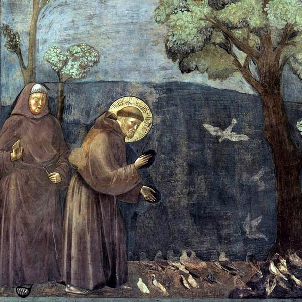 Giotto. Predica agli uccelli - Riproduzione su carta Amalfi
