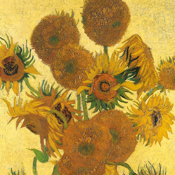 Girasoli, Van Gogh, agosto 1888. Riproduzione