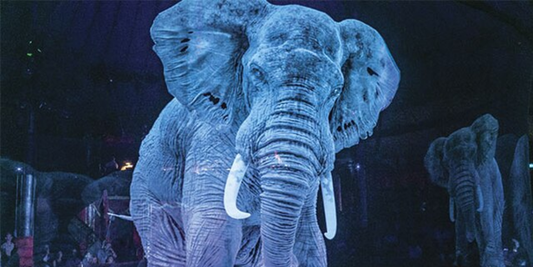 Ologrammi 3D: la nuova vita delle opere d’arte