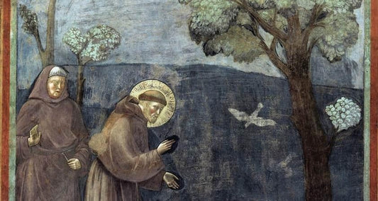 Predica agli uccelli di Giotto