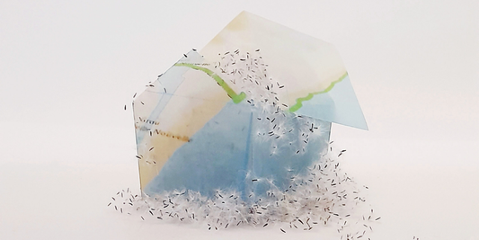 Torino celebra 25 anni di OUVERTURE: l’arte contemporanea accende la città