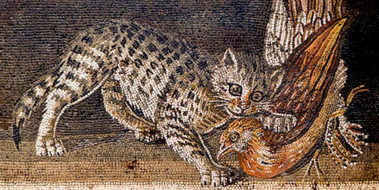 Gatto nell'antica Roma. Un gatto cattura una gallina con la zampa, mosaico di Pompei