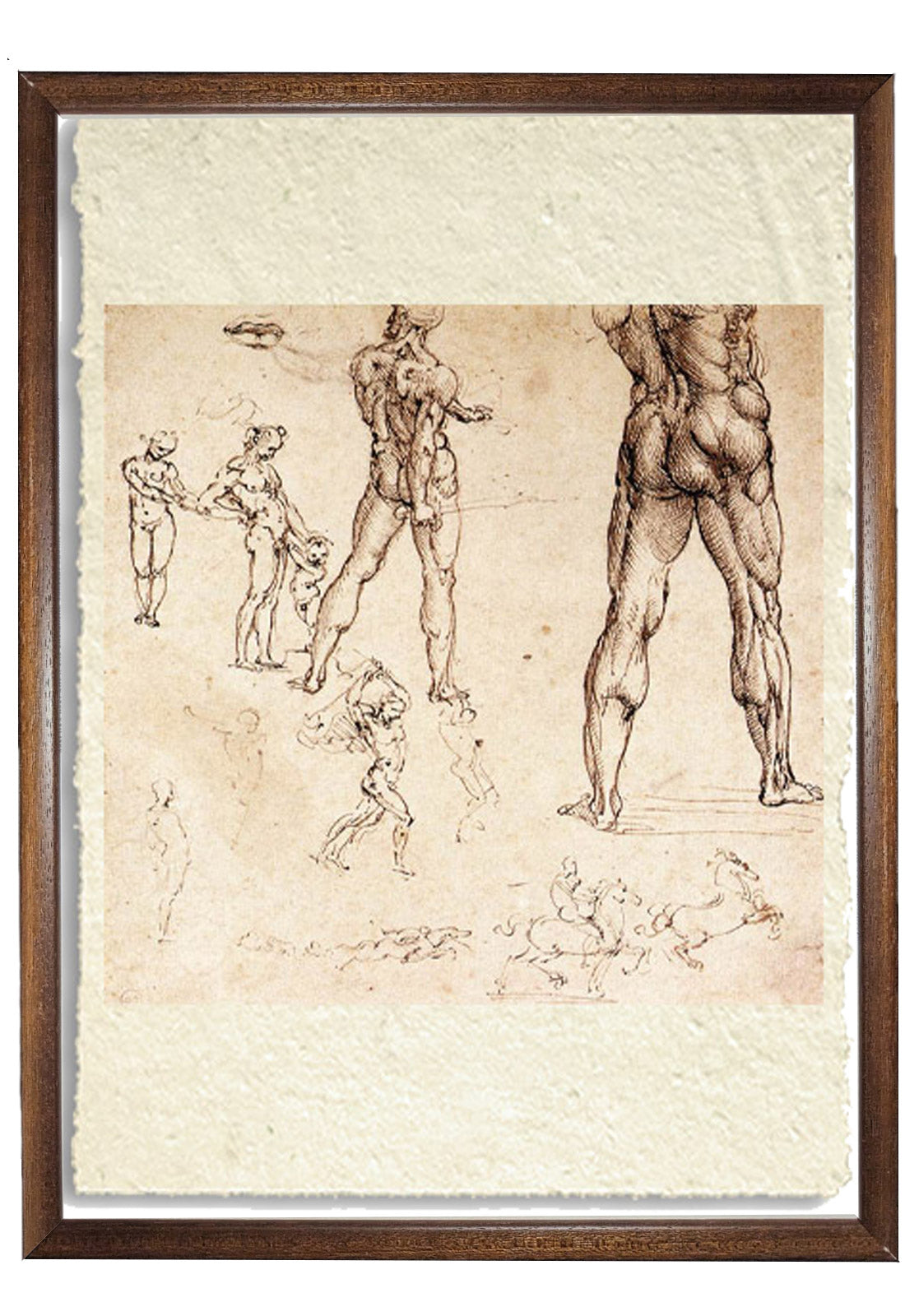 Studi anatomici - Leonardo Da Vinci