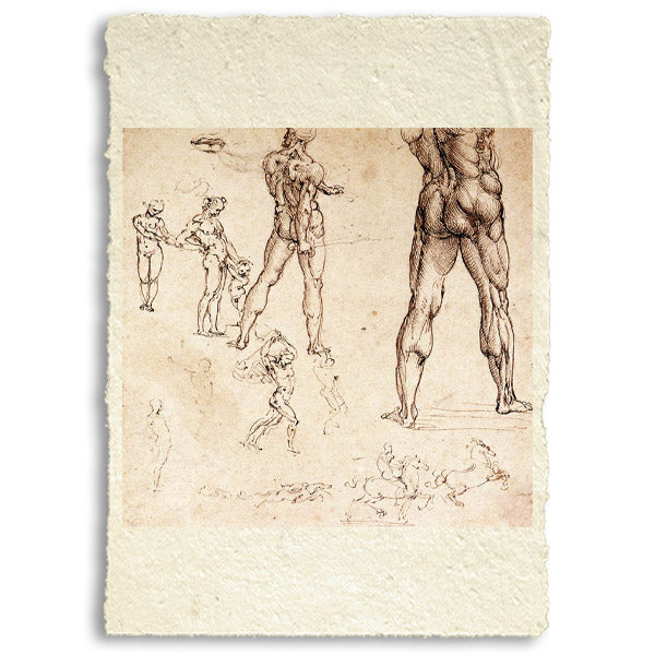 Studi anatomici - Leonardo Da Vinci
