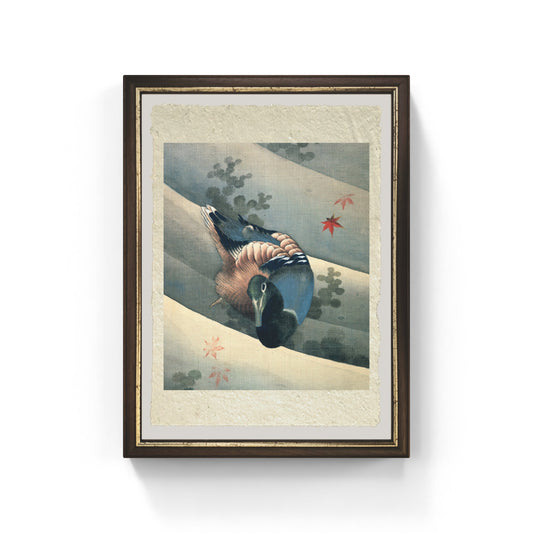Anatra che nuota in acqua di Katsushika Hokusai su carta Amalfi 