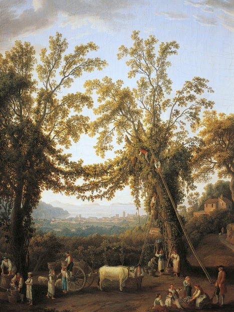 Autunno, raccolto vicino a Sorrento - Jakob-Philipp Hackert