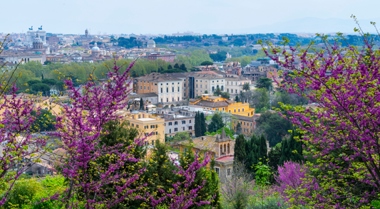 Janiculum Hill, Rome