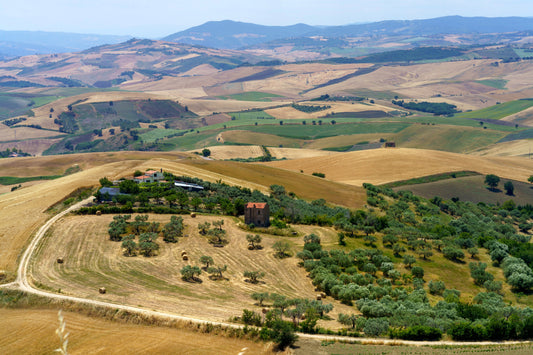 The Julius Claudia dynasty 