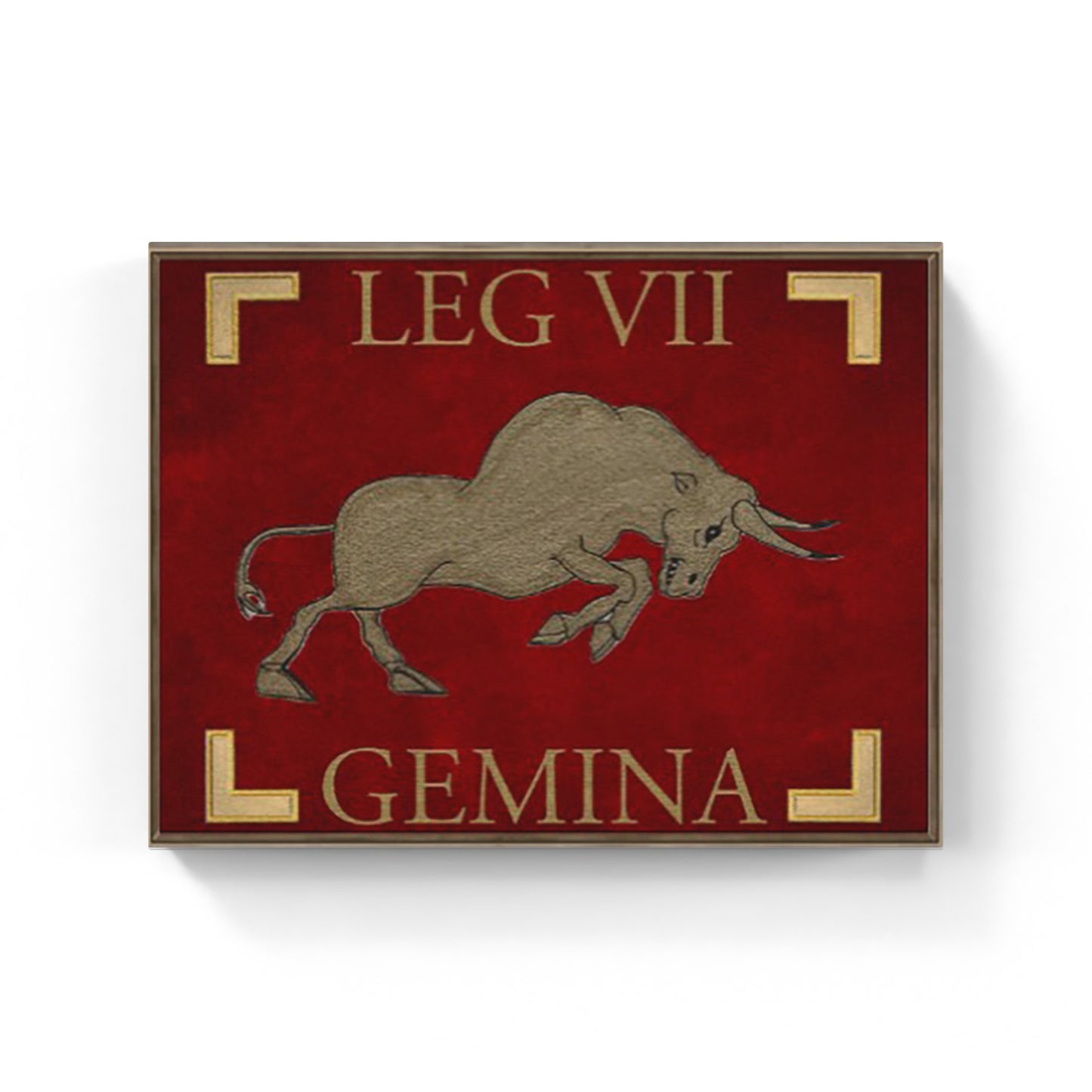 Legio VII Gemina Banner