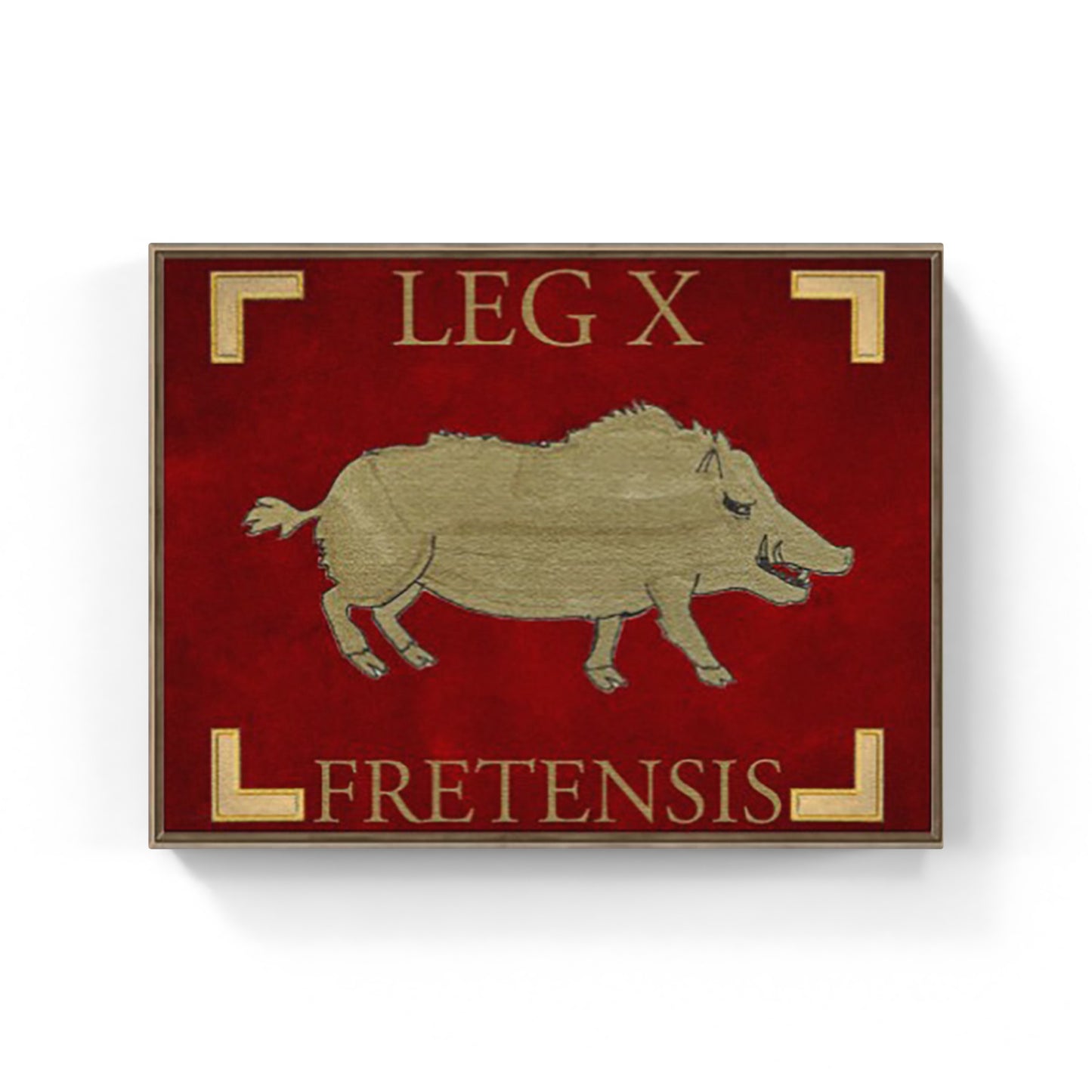 Legio X Fretensis Banner