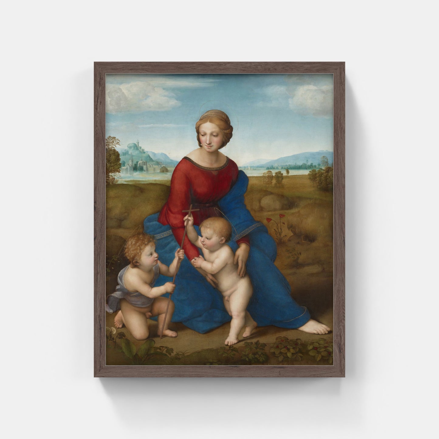 Madonna del Belvedere o Madonna del Prato, di Raffaello Sanzio (1506)