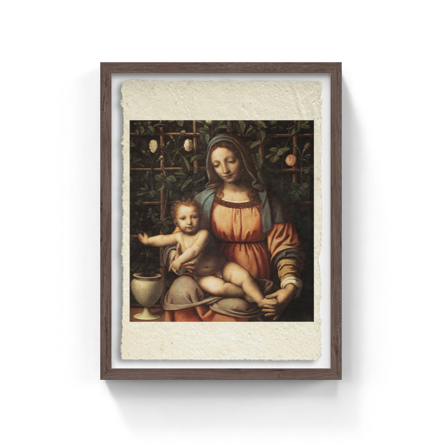 Madonna del Roseto di Bernardino Scappi detto Luini (ca. 1510)