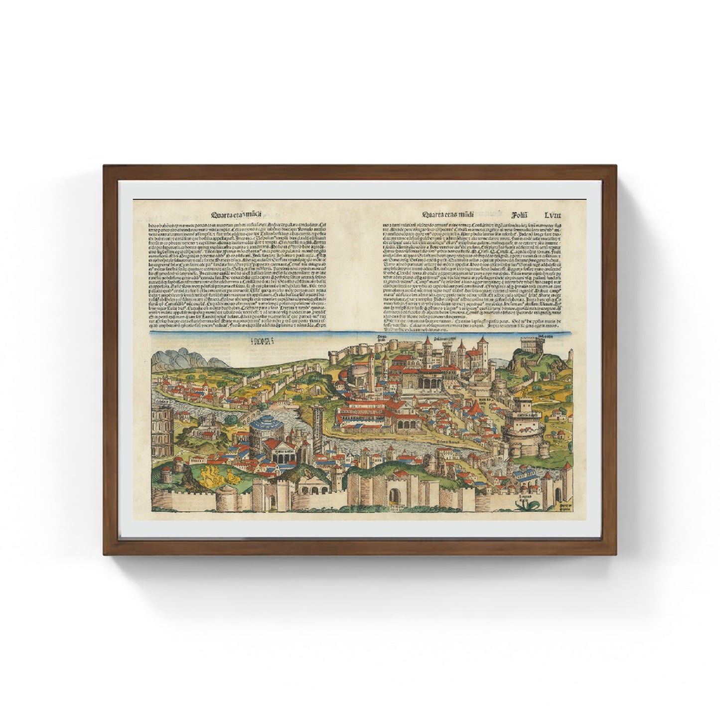 The oldest large-scale view of Rome (1493) 