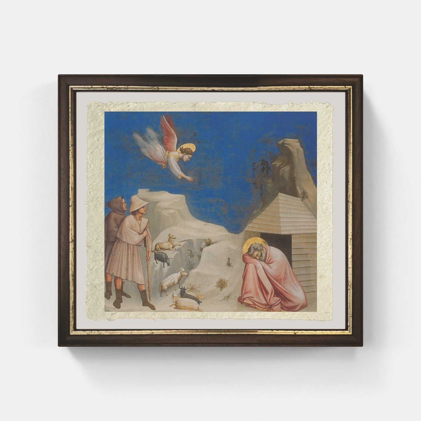 Gioacchino's dream, Giotto on refined Amalfi paper