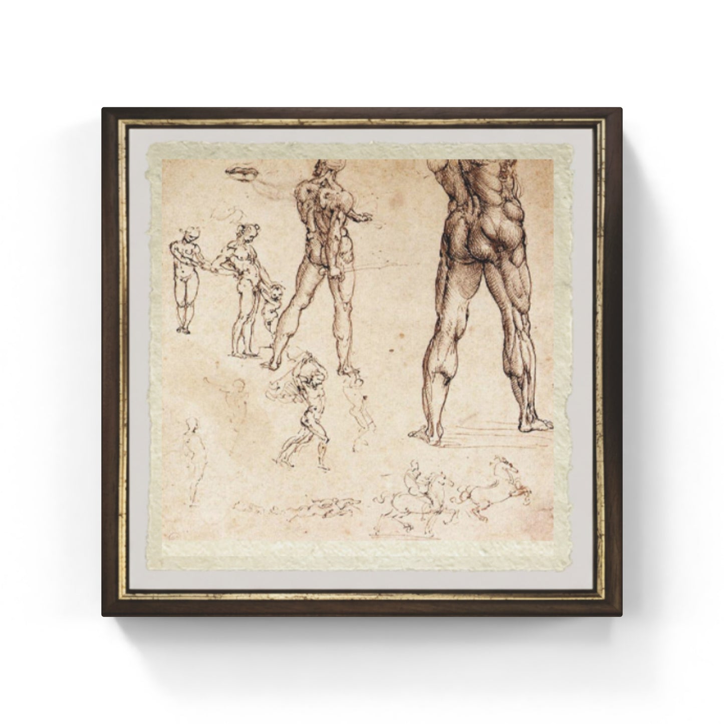 Anatomical studies by Leonardo Da Vinci on fine Amalfi paper
