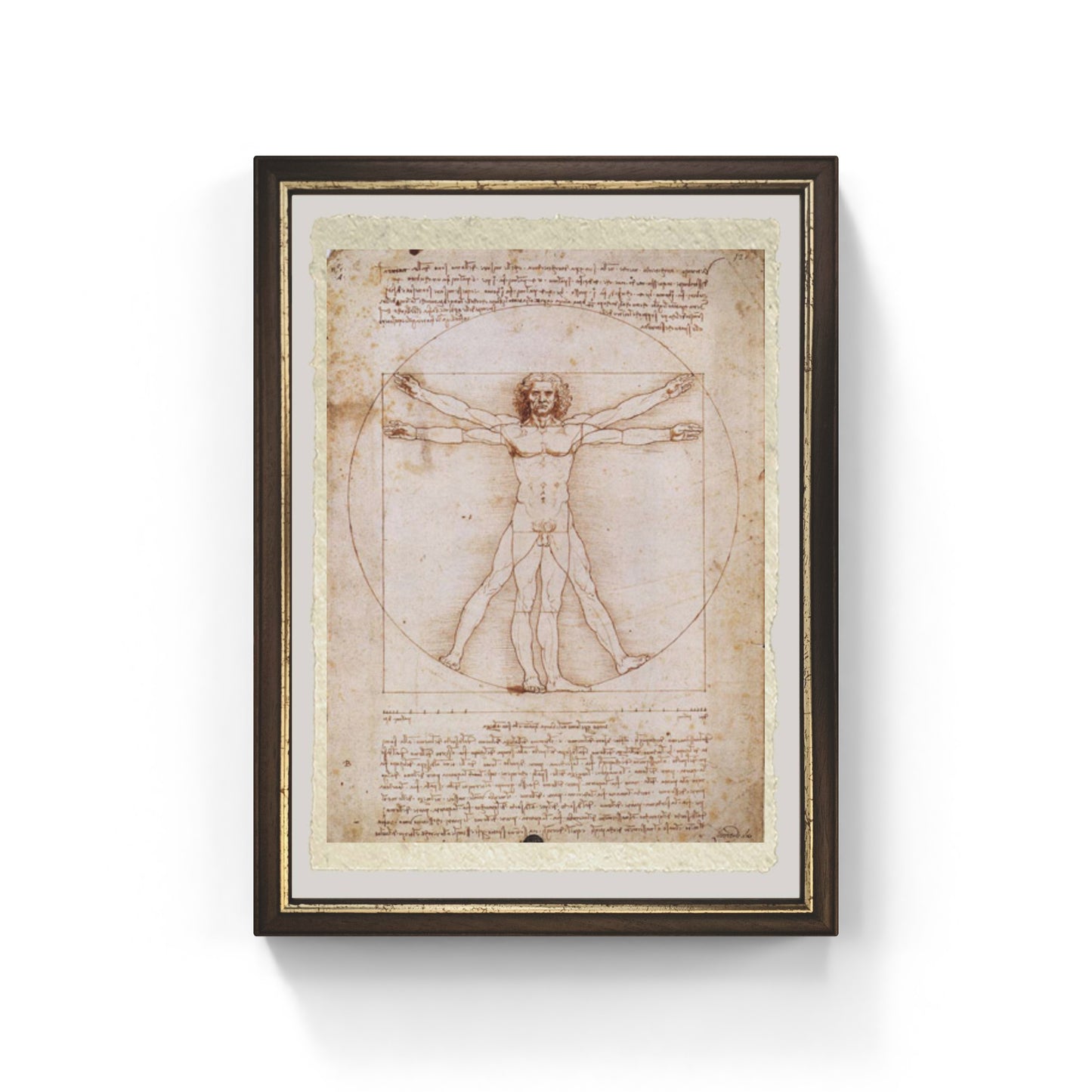 Leonardo Da Vinci's Vitruvian Man on fine Amalfi paper