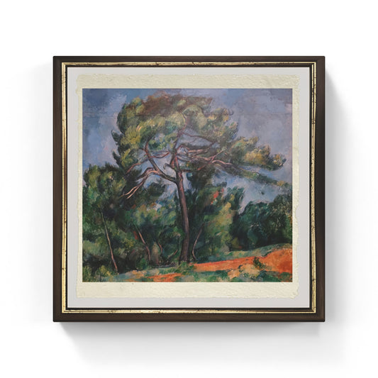 The father of the painter Louis-Auguste Cézanne