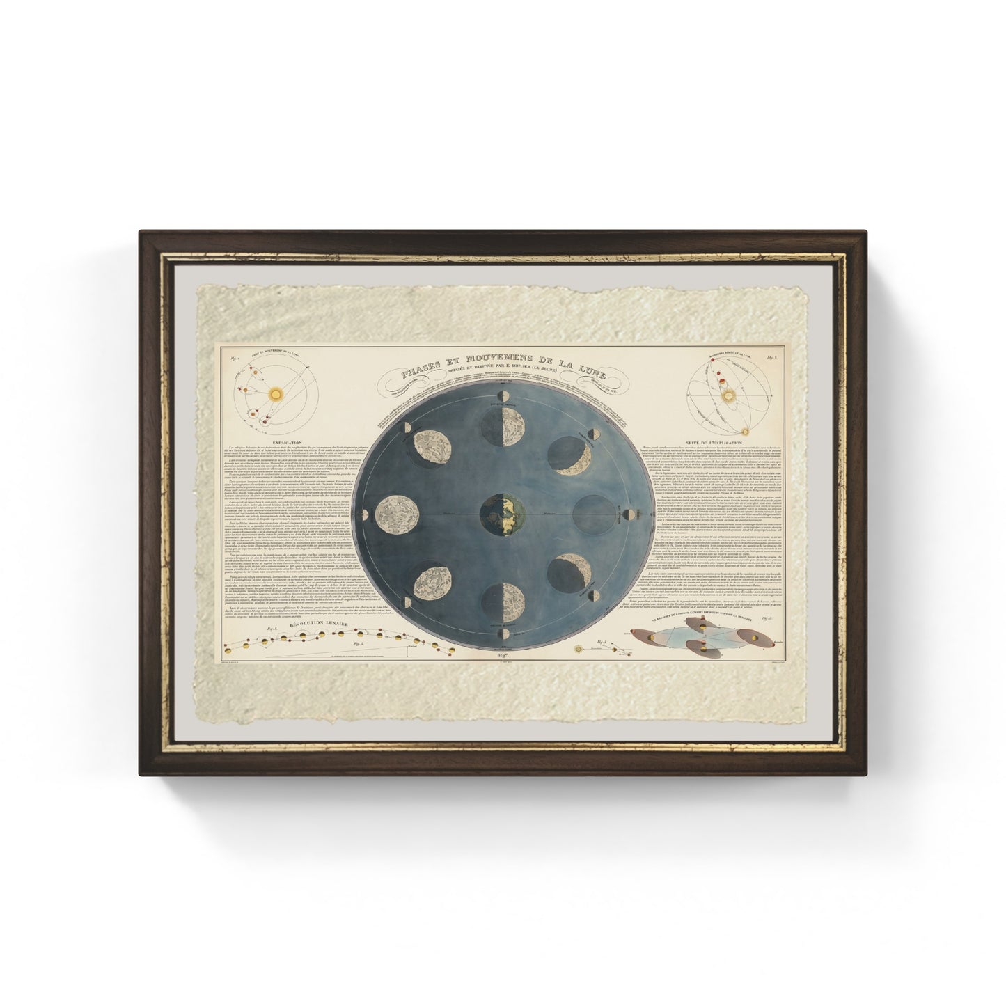 Phases and movements of the Moon - 1850