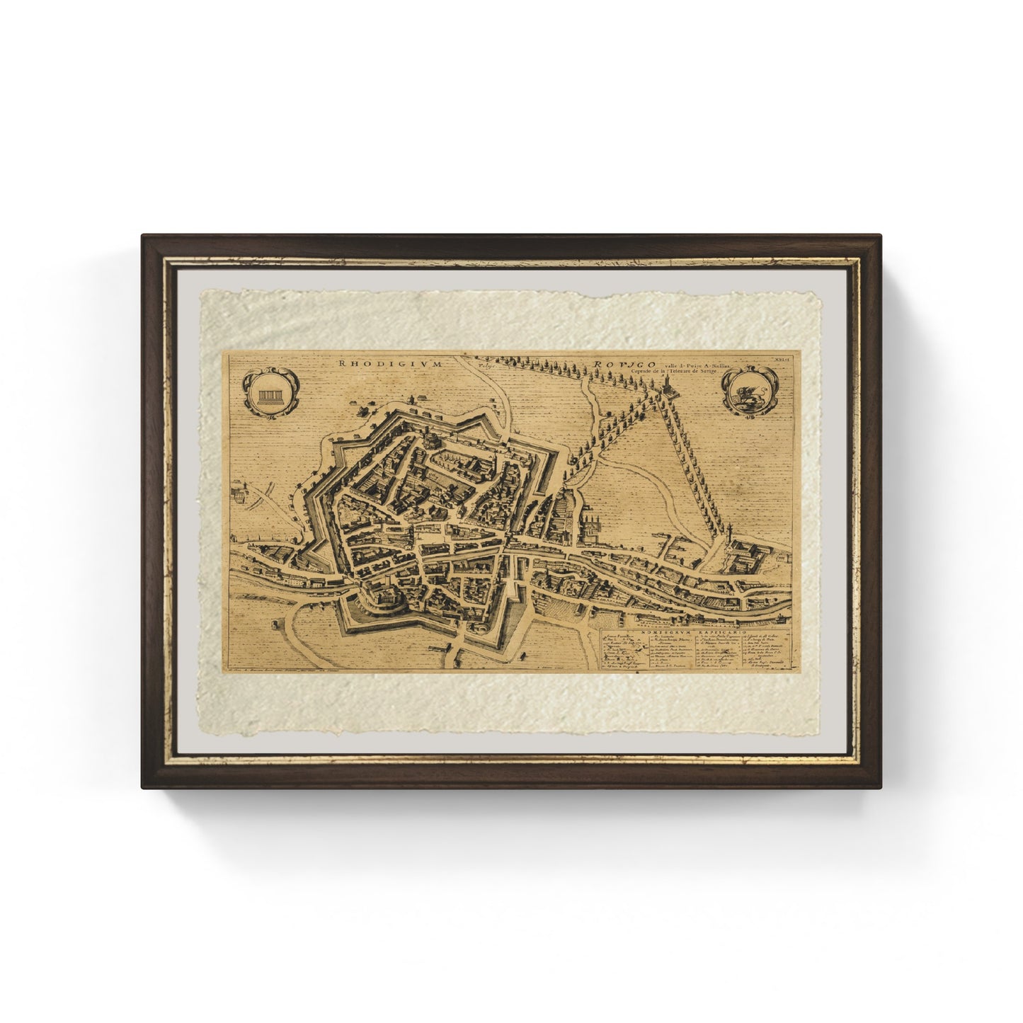 Map of Rovigo, 1704 by Pierre Mortier