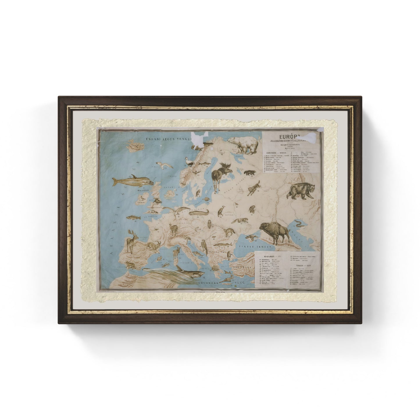 Map of animals in Europe - Janos Balint