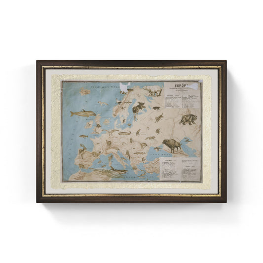 Map of animals in Europe - Janos Balint