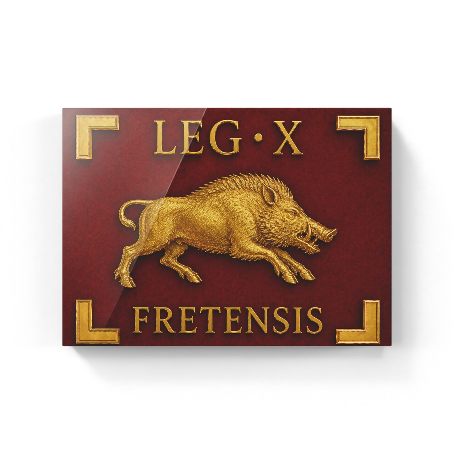 Legio X Fretensis Vessillo Romano