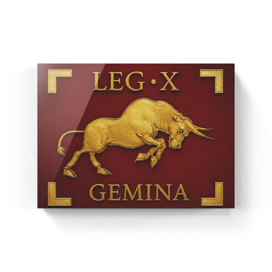 Legio X Gemina Vessillo Romano