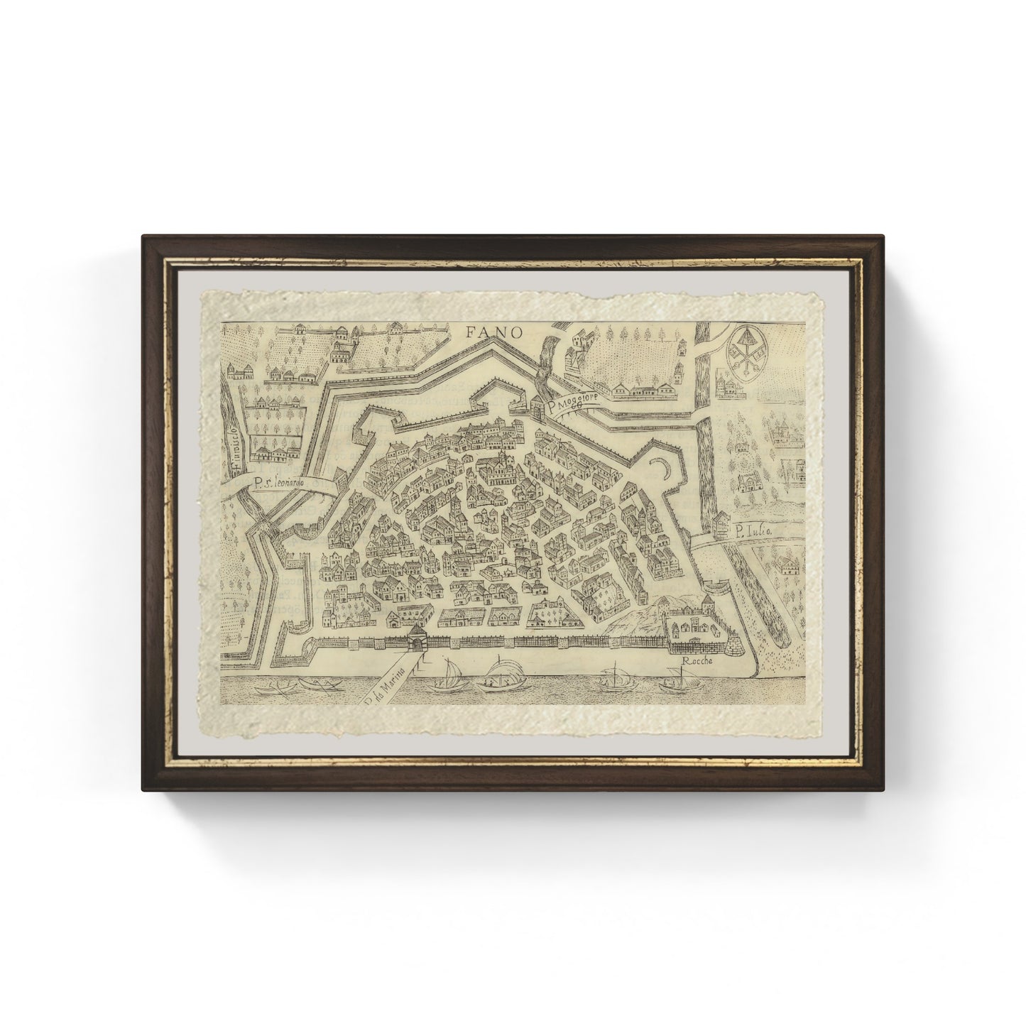 Map of the ancient city of Fano by Pietro Bertelli