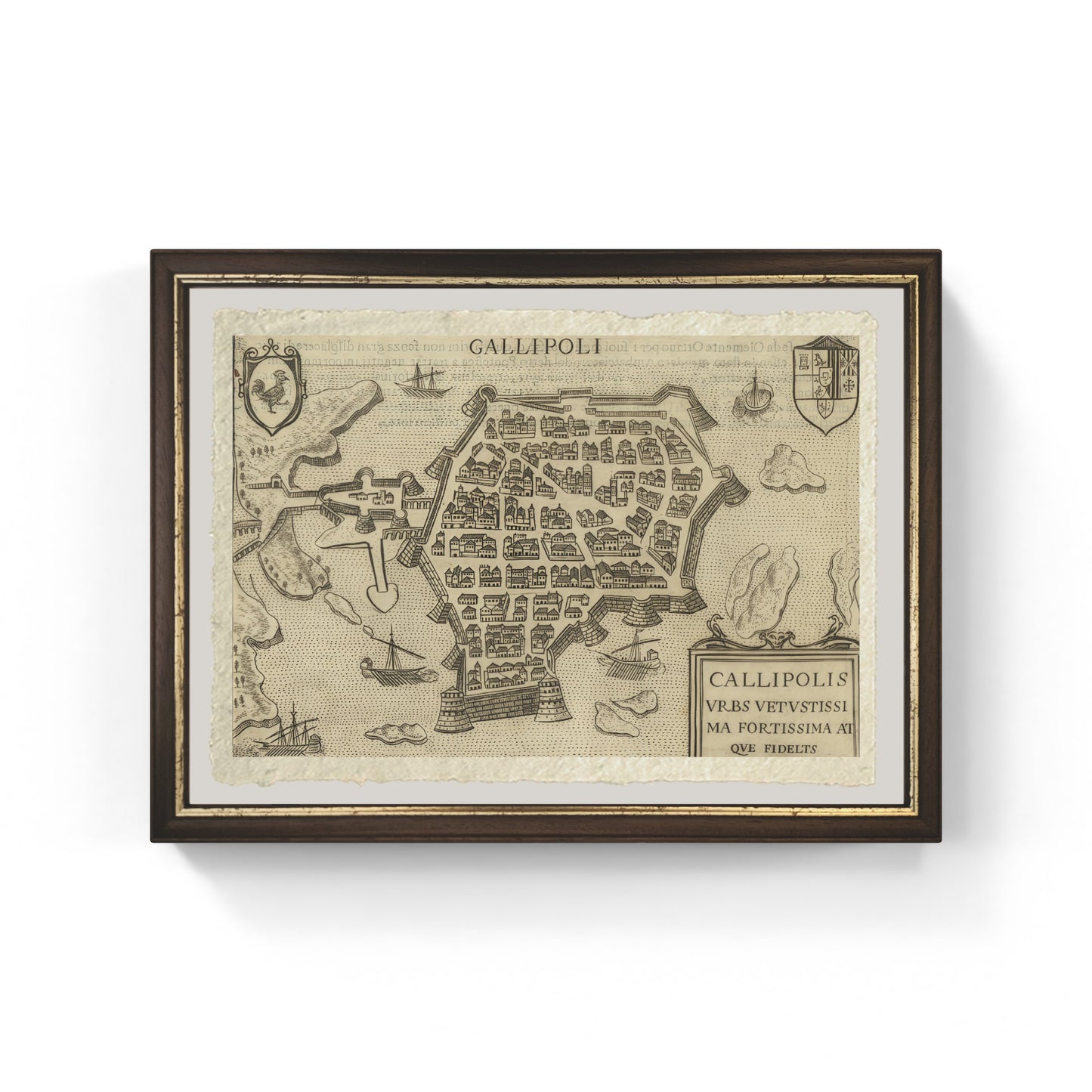 Map of the ancient city of Gallipoli by Pietro Bertelli