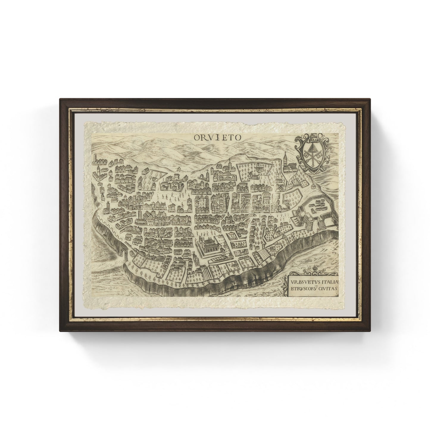 Map of the ancient city of Orvieto by Pietro Bertelli