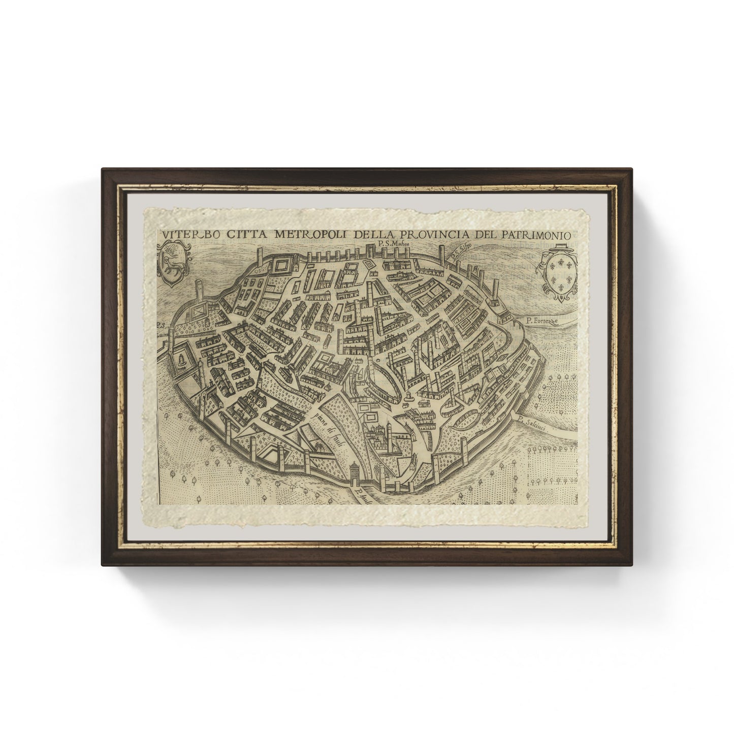 Map of the ancient city of Viterbo by Pietro Bertelli
