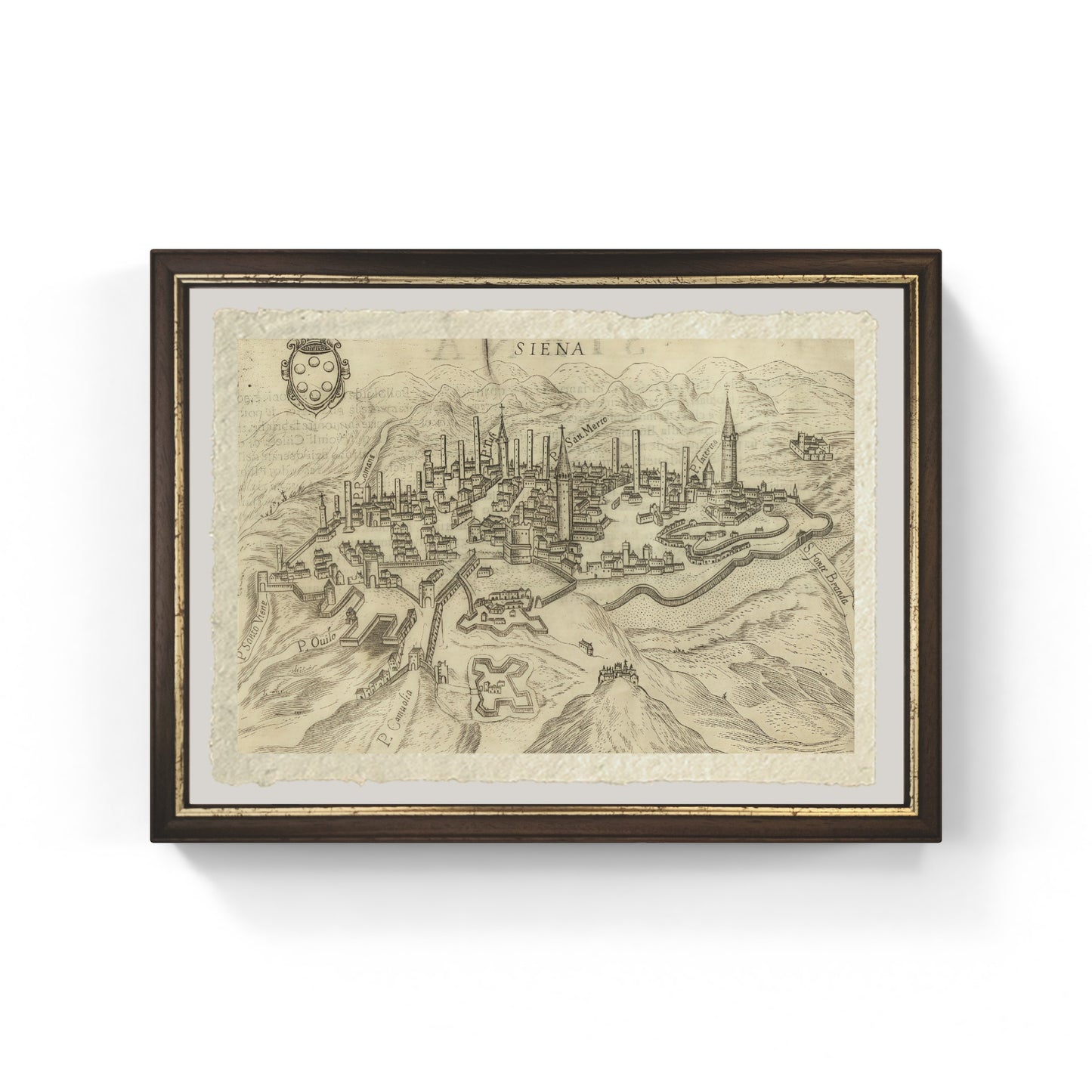 Map of the ancient city of Siena by Pietro Bertelli