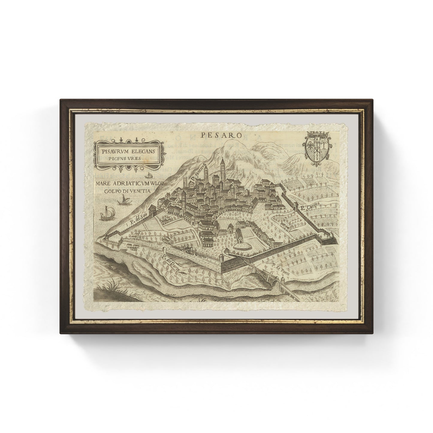 Map of the ancient city of Pesaro by Pietro Bertelli