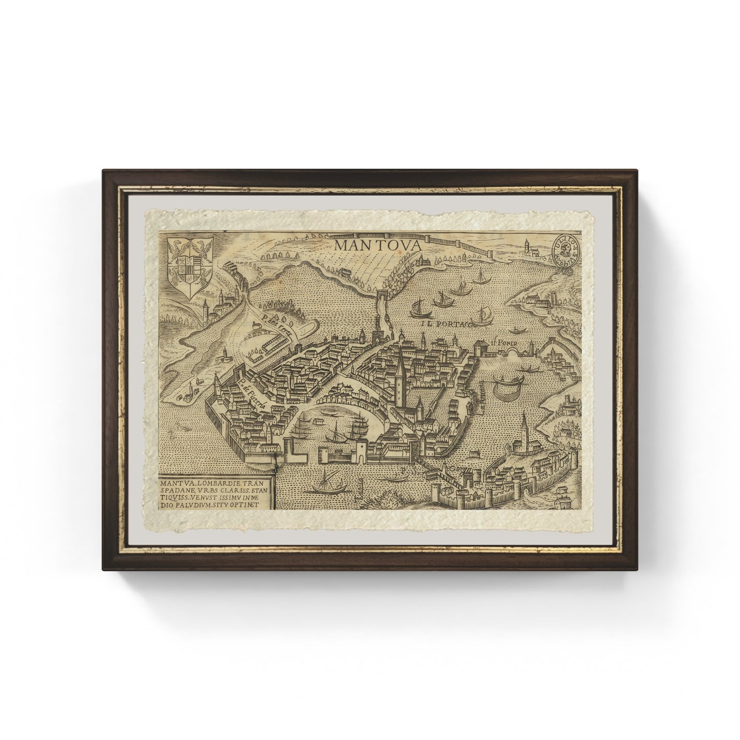 Mappa dell'antica città di Mantova di Pietro Bertelli