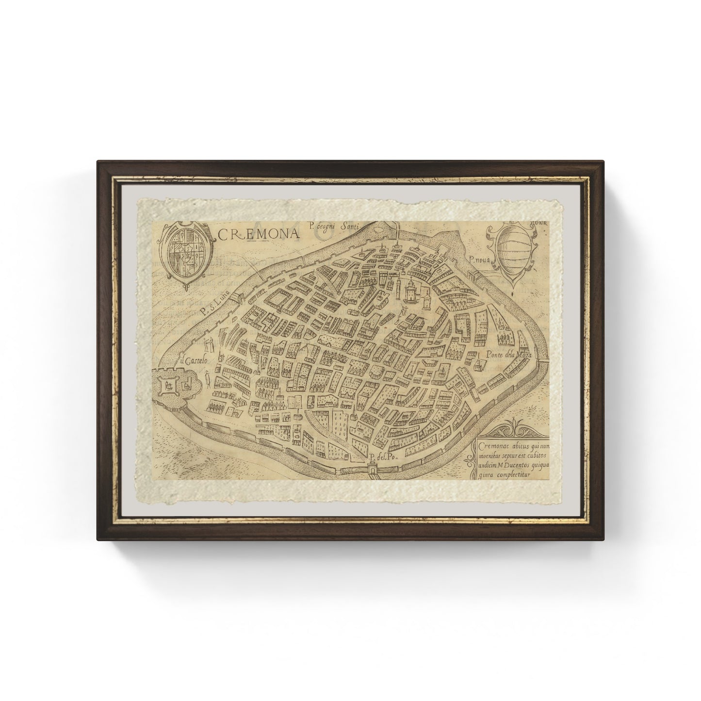 Map of the ancient city of Cremona by Pietro Bertelli