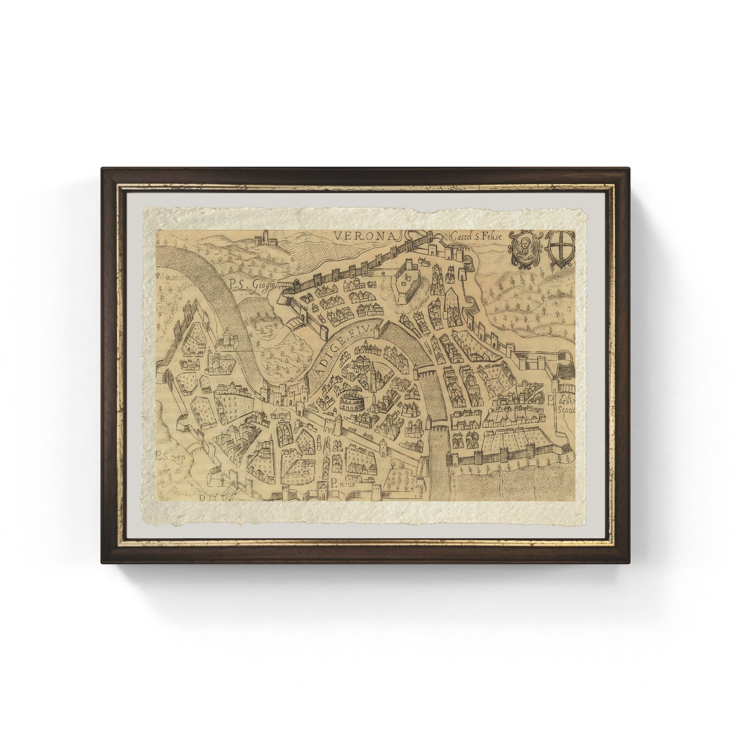 Map of the ancient city of Verona by Pietro Bertelli