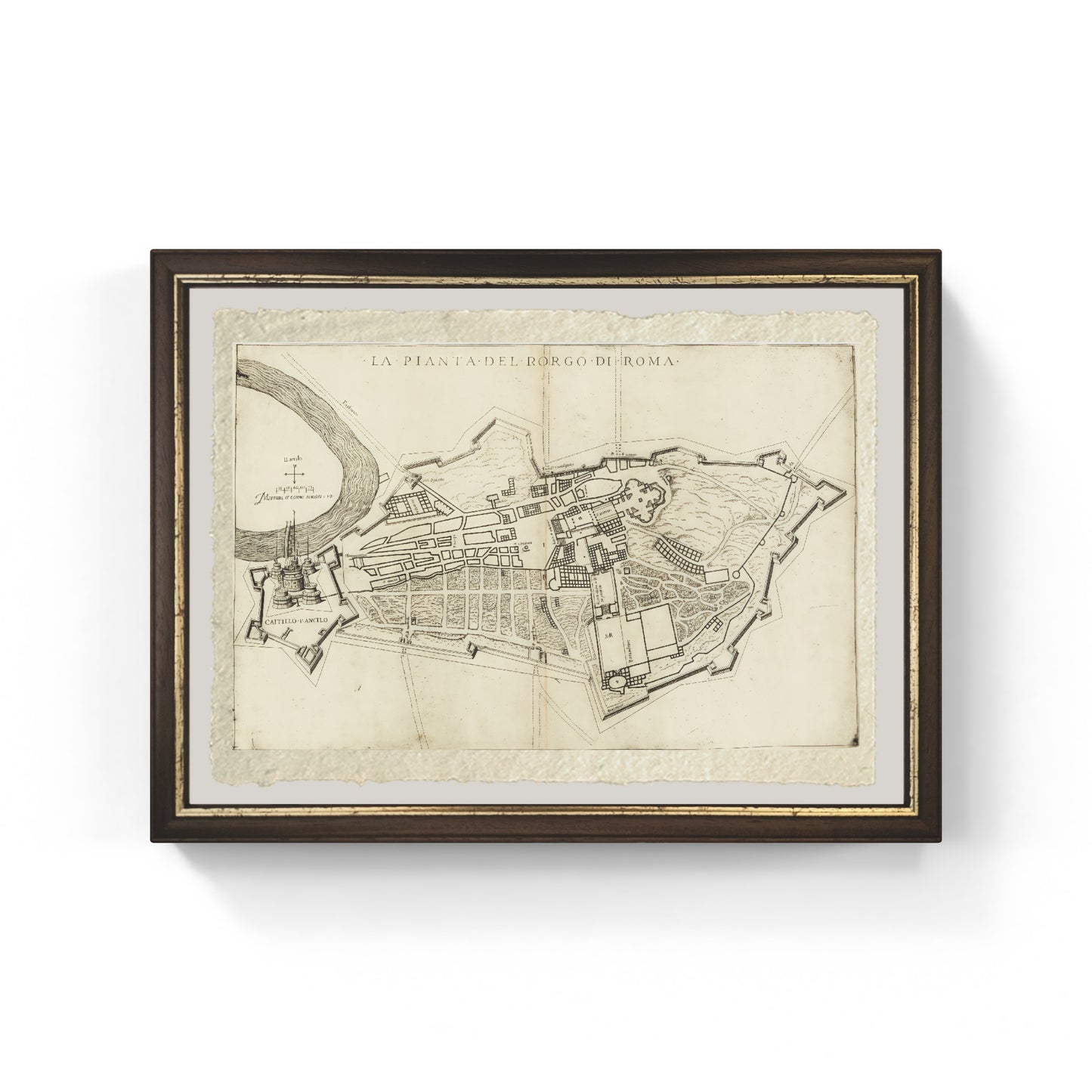 Map of the ancient Borgo Pio district of Rome