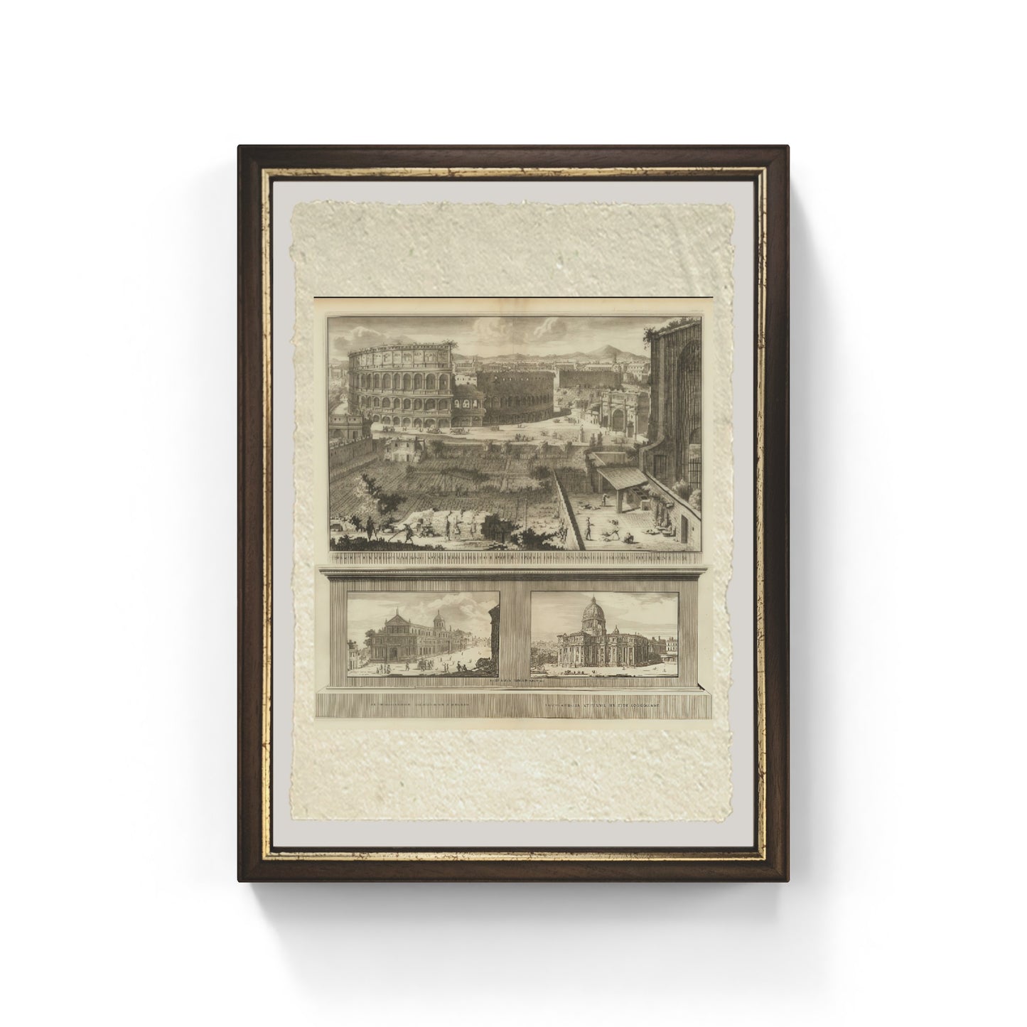 Prospectus Colossael Sive Amphitheater (1704) 