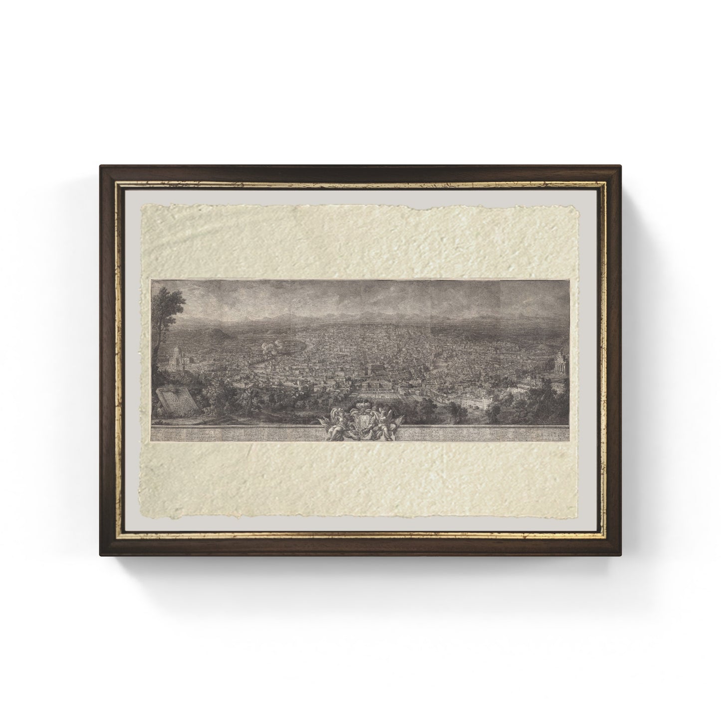 Prospectus of the city of Rome seen from Mount Gianicolo 
